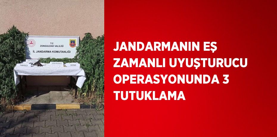 JANDARMANIN EŞ ZAMANLI UYUŞTURUCU OPERASYONUNDA 3 TUTUKLAMA