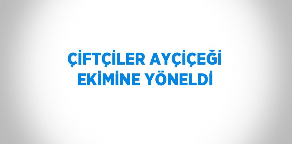 ÇİFTÇİLER AYÇİÇEĞİ EKİMİNE YÖNELDİ