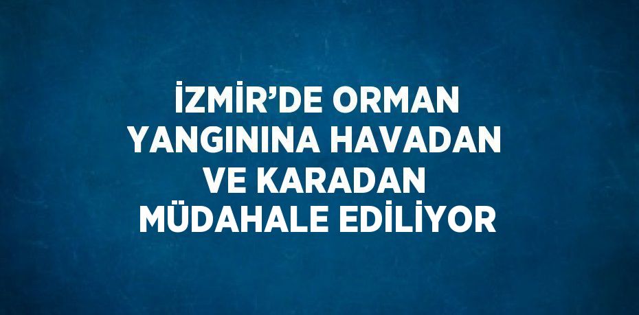 İZMİR’DE ORMAN YANGININA HAVADAN VE KARADAN MÜDAHALE EDİLİYOR