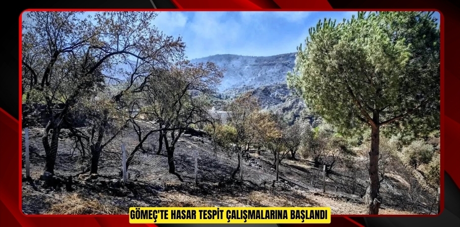 Gömeç'te hasar tespit çalışmalarına başlandı