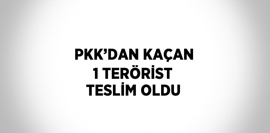 PKK’DAN KAÇAN 1 TERÖRİST TESLİM OLDU