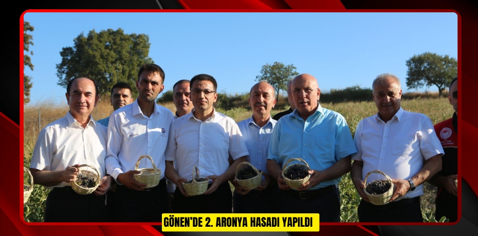 Gönen’de 2. aronya hasadı yapıldı  