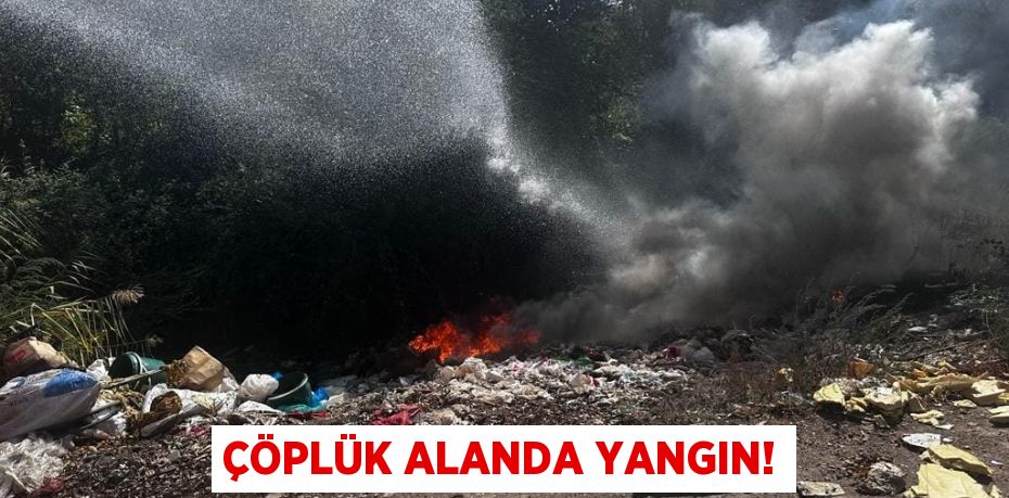 ÇÖPLÜK ALANDA YANGIN!