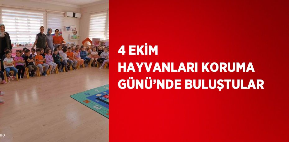 4 EKİM HAYVANLARI KORUMA GÜNÜ’NDE BULUŞTULAR