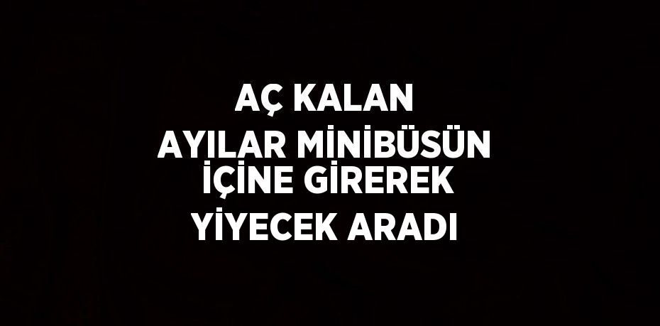 AÇ KALAN AYILAR MİNİBÜSÜN İÇİNE GİREREK YİYECEK ARADI