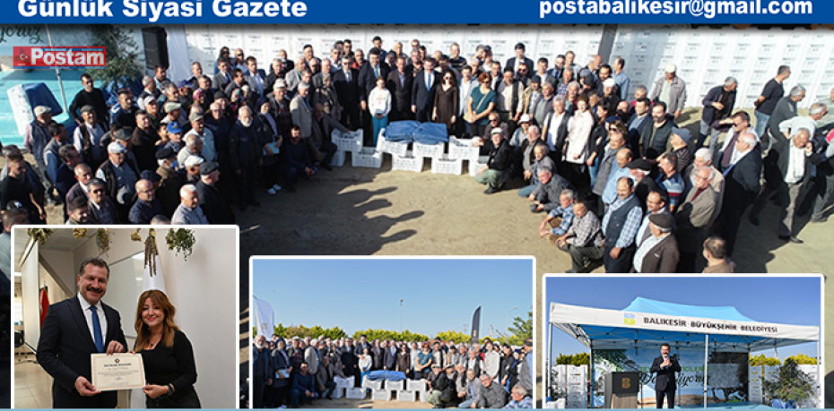 Büyükşehir, zeytin üreticilerini desteklemeye devam ediyor