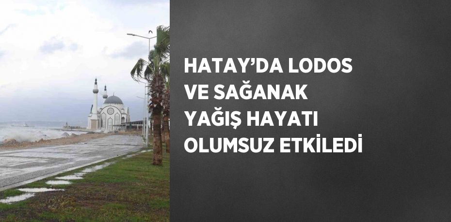 HATAY’DA LODOS VE SAĞANAK YAĞIŞ HAYATI OLUMSUZ ETKİLEDİ