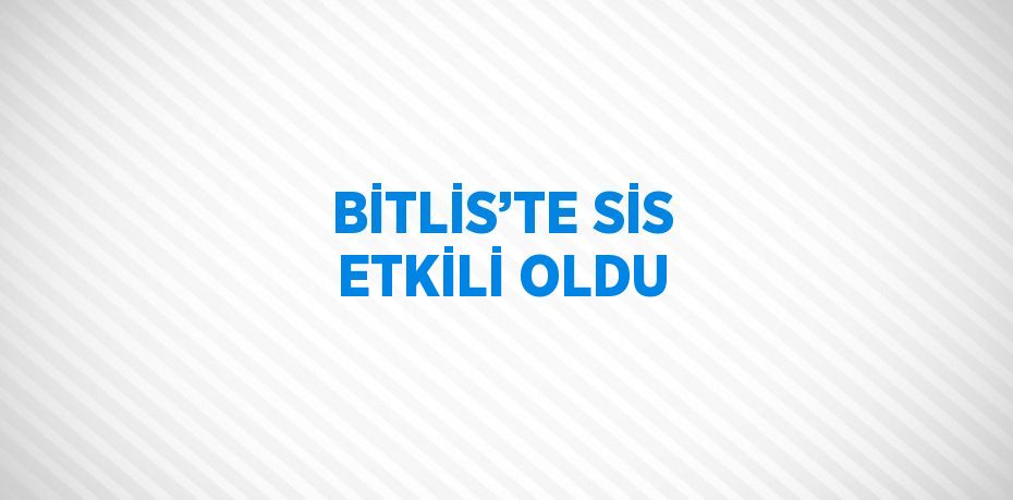 BİTLİS’TE SİS ETKİLİ OLDU