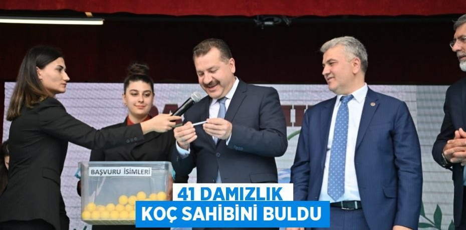 41 damızlık koç sahibini buldu