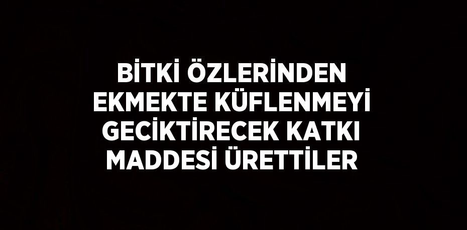 BİTKİ ÖZLERİNDEN EKMEKTE KÜFLENMEYİ GECİKTİRECEK KATKI MADDESİ ÜRETTİLER