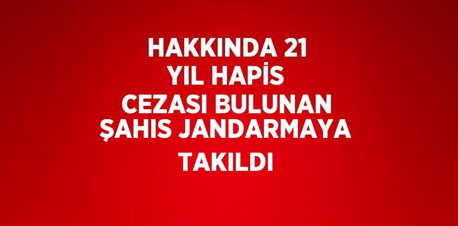 HAKKINDA 21 YIL HAPİS CEZASI BULUNAN ŞAHIS JANDARMAYA TAKILDI