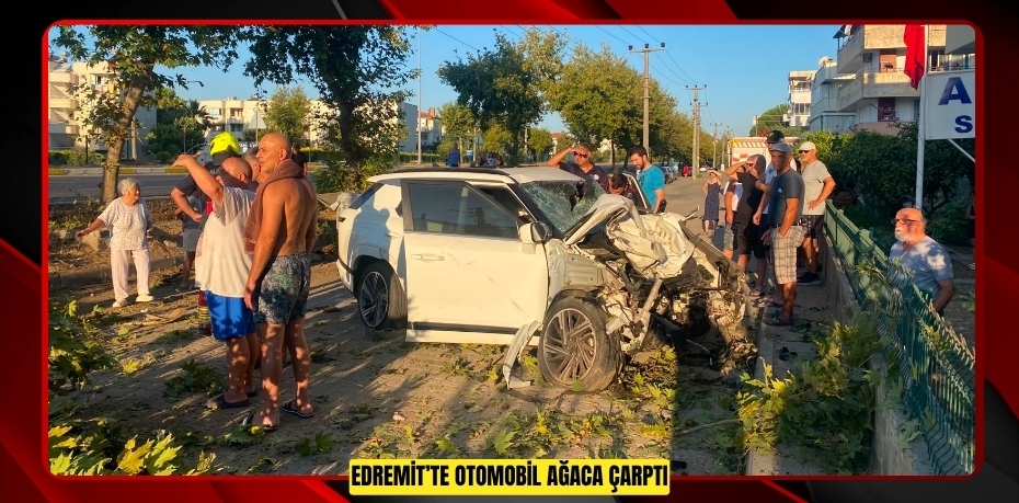 Edremit’te otomobil ağaca çarptı