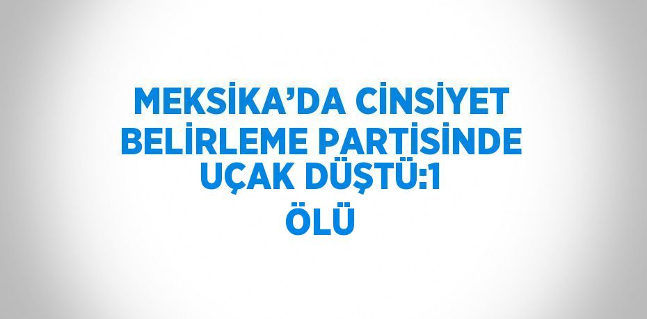 MEKSİKA’DA CİNSİYET BELİRLEME PARTİSİNDE UÇAK DÜŞTÜ:1 ÖLÜ