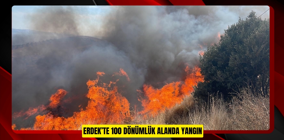 Erdek’te 100 dönümlük alanda yangın