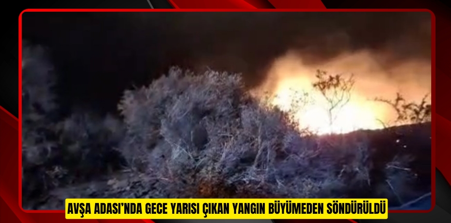 Avşa Adası’nda gece yarısı çıkan yangın büyümeden söndürüldü