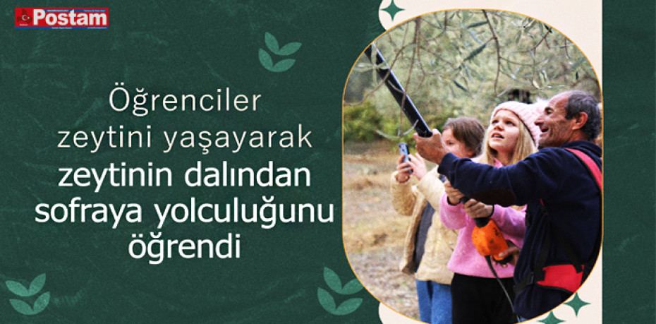 Öğrenciler zeytini yaşayarak öğrendi