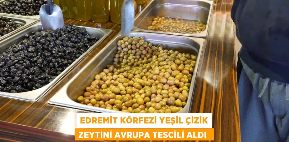 Edremit Körfezi yeşil çizik zeytini Avrupa tescili aldı