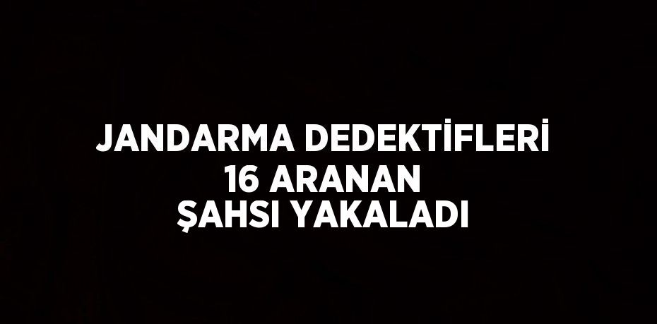 JANDARMA DEDEKTİFLERİ 16 ARANAN ŞAHSI YAKALADI