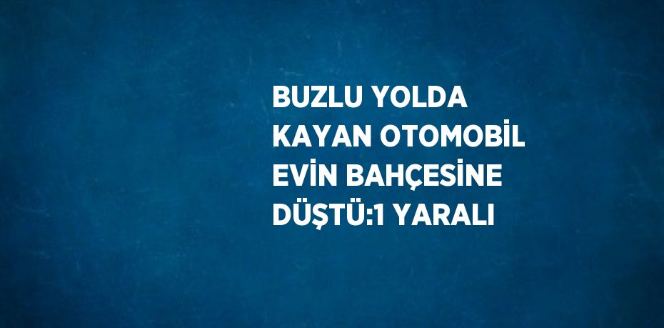 BUZLU YOLDA KAYAN OTOMOBİL EVİN BAHÇESİNE DÜŞTÜ:1 YARALI