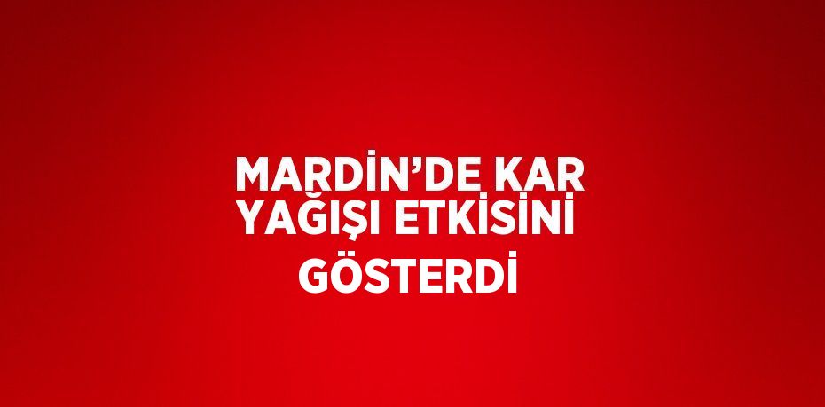 MARDİN’DE KAR YAĞIŞI ETKİSİNİ GÖSTERDİ