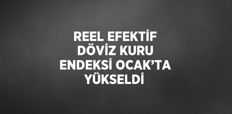 REEL EFEKTİF DÖVİZ KURU ENDEKSİ OCAK’TA YÜKSELDİ
