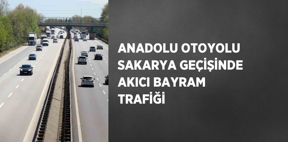 ANADOLU OTOYOLU SAKARYA GEÇİŞİNDE AKICI BAYRAM TRAFİĞİ
