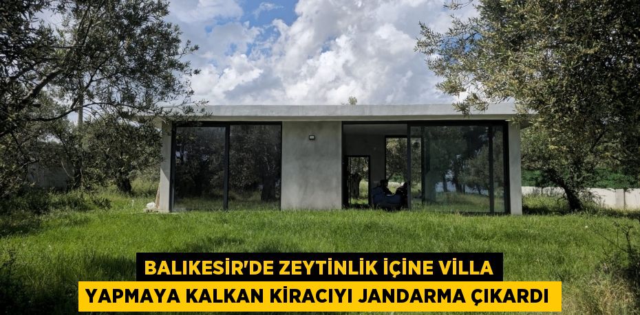 Balıkesir'de zeytinlik içine villa yapmaya kalkan kiracıyı jandarma çıkardı