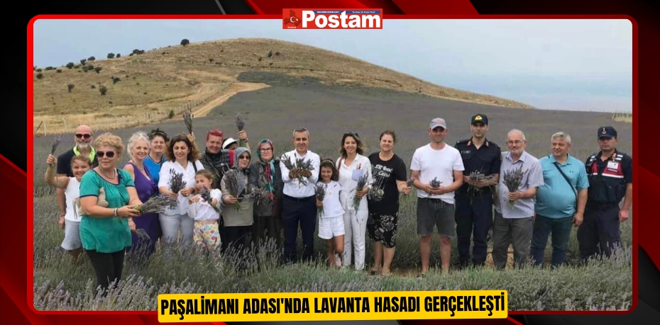 Paşalimanı Adası'nda lavanta hasadı gerçekleşti
