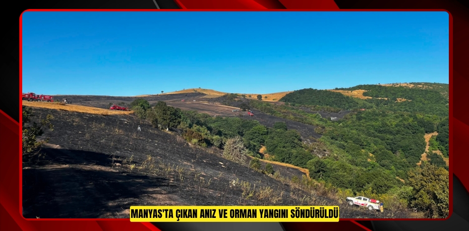 Manyas'ta çıkan anız ve orman yangını söndürüldü