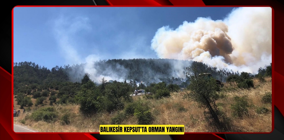 Balıkesir Kepsut'ta orman yangını