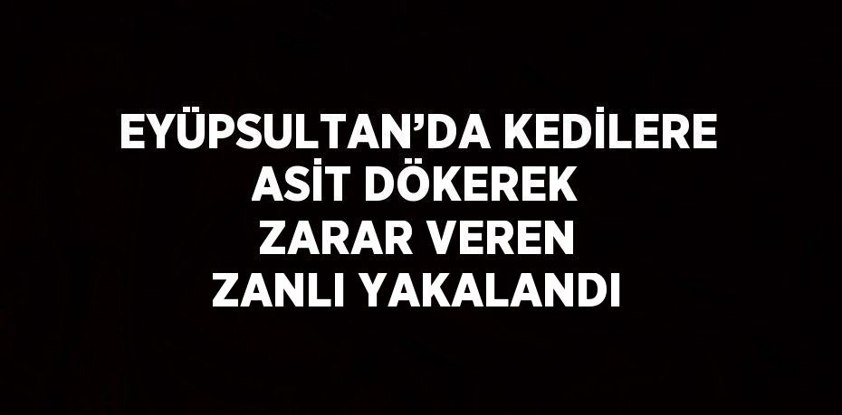 EYÜPSULTAN’DA KEDİLERE ASİT DÖKEREK ZARAR VEREN ZANLI YAKALANDI