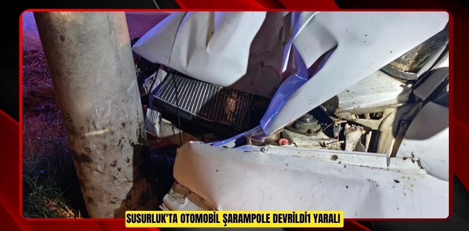 Susurluk'ta otomobil şarampole devrildi:1 yaralı