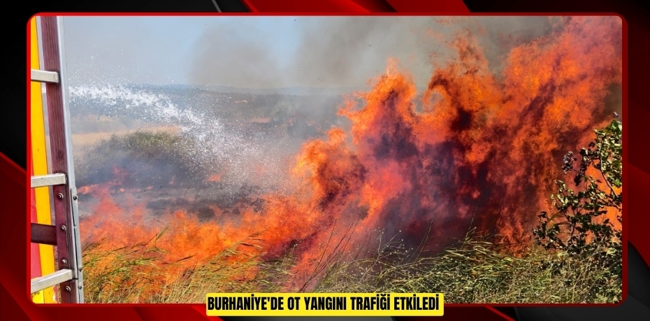 Burhaniye'de ot yangını trafiği etkiledi