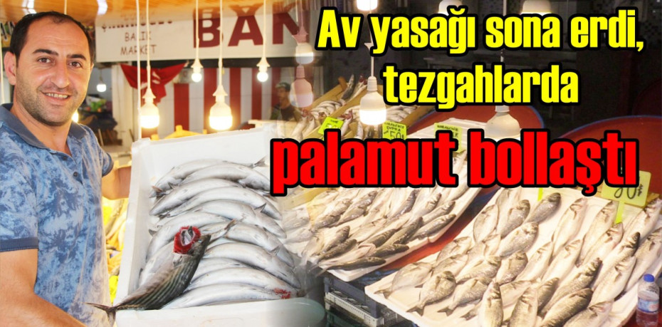 Av yasağı sona erdi, tezgahlarda palamut bollaştı