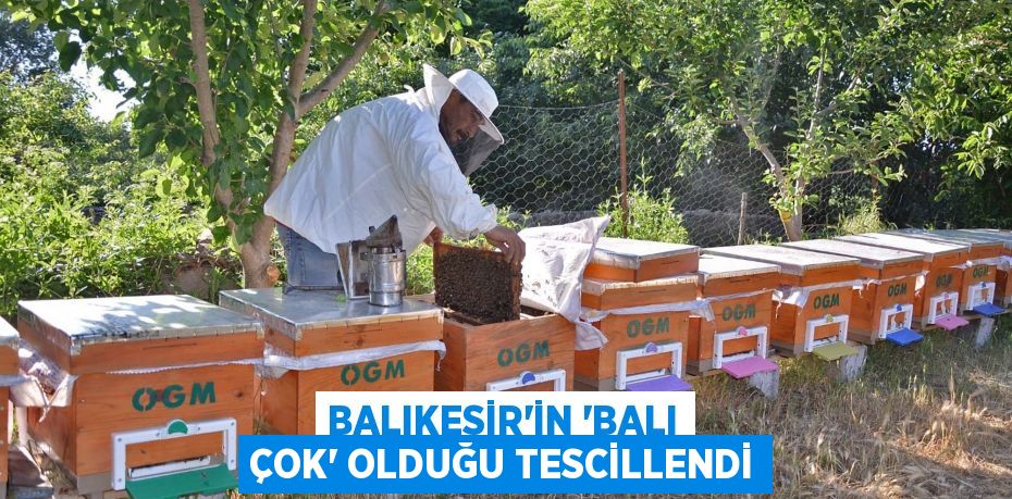 BALIKESİR’İN ‘BALI ÇOK’ OLDUĞU TESCİLLENDİ