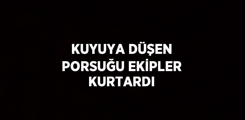 KUYUYA DÜŞEN PORSUĞU EKİPLER KURTARDI