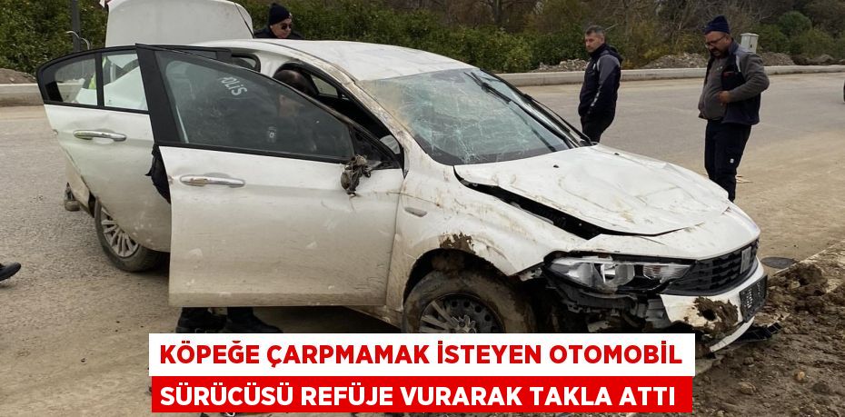 Köpeğe çarpmamak isteyen otomobil sürücüsü refüje vurarak takla attı