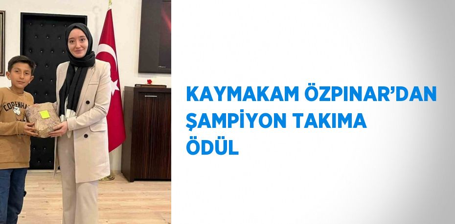 KAYMAKAM ÖZPINAR’DAN ŞAMPİYON TAKIMA ÖDÜL