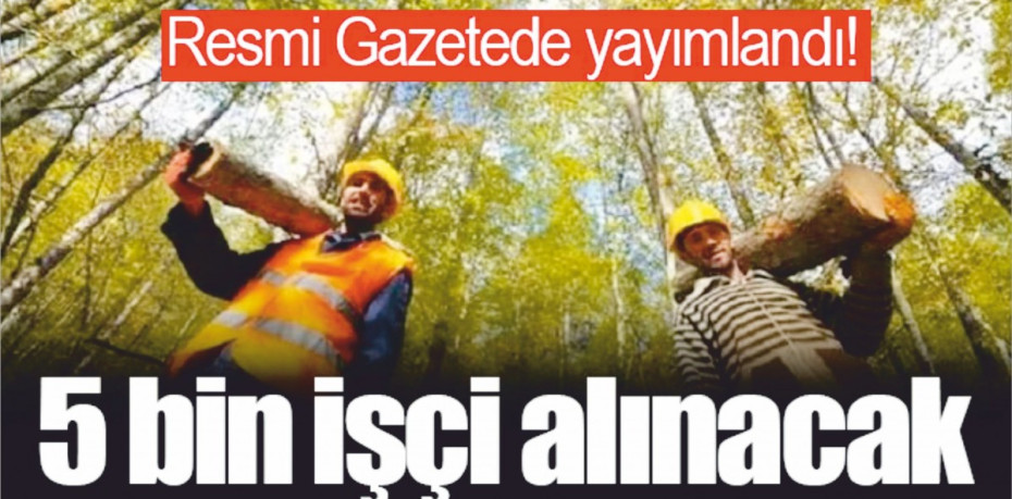 ORMAN GENEL MÜDÜRLÜĞÜNDEN GEÇİCİ İŞÇİ ALIM İLANI