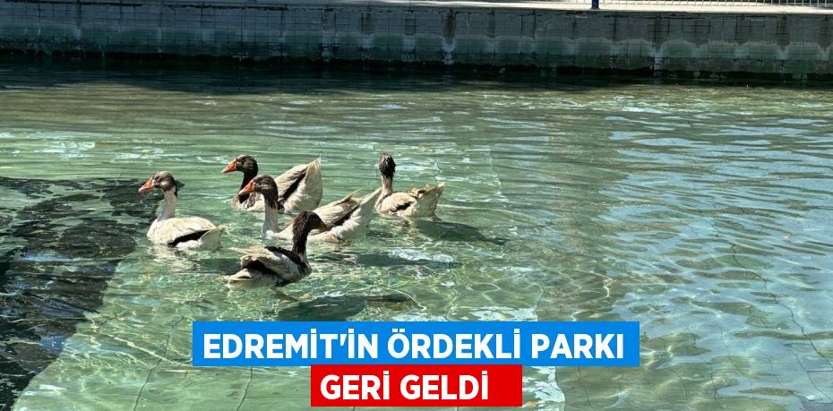 Edremit’in ördekli parkı geri geldi