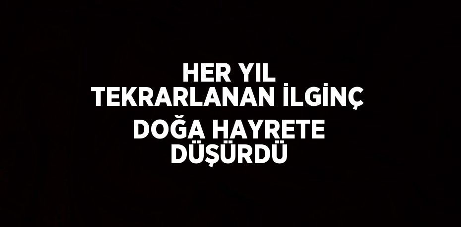 HER YIL TEKRARLANAN İLGİNÇ DOĞA HAYRETE DÜŞÜRDÜ
