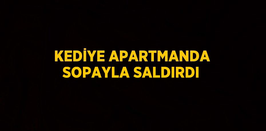 KEDİYE APARTMANDA SOPAYLA SALDIRDI