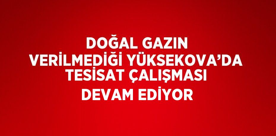 DOĞAL GAZIN VERİLMEDİĞİ YÜKSEKOVA’DA TESİSAT ÇALIŞMASI DEVAM EDİYOR