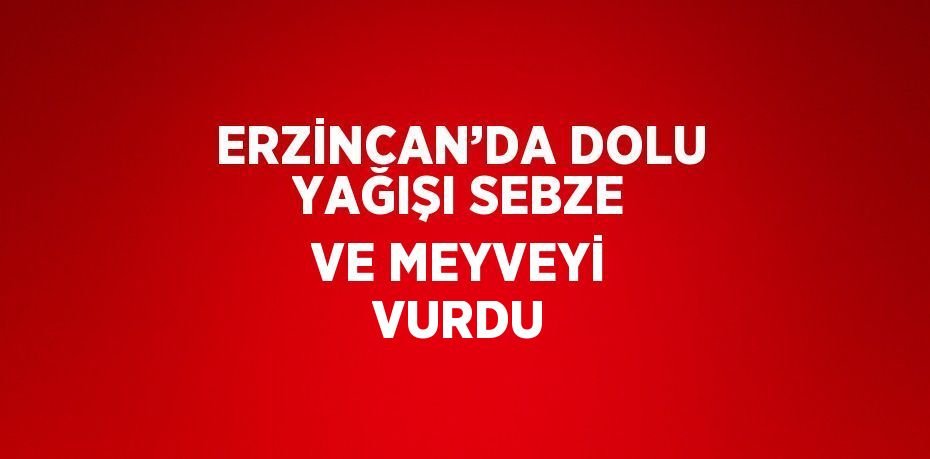 ERZİNCAN’DA DOLU YAĞIŞI SEBZE VE MEYVEYİ VURDU