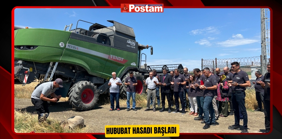 Hububat hasadı başladı