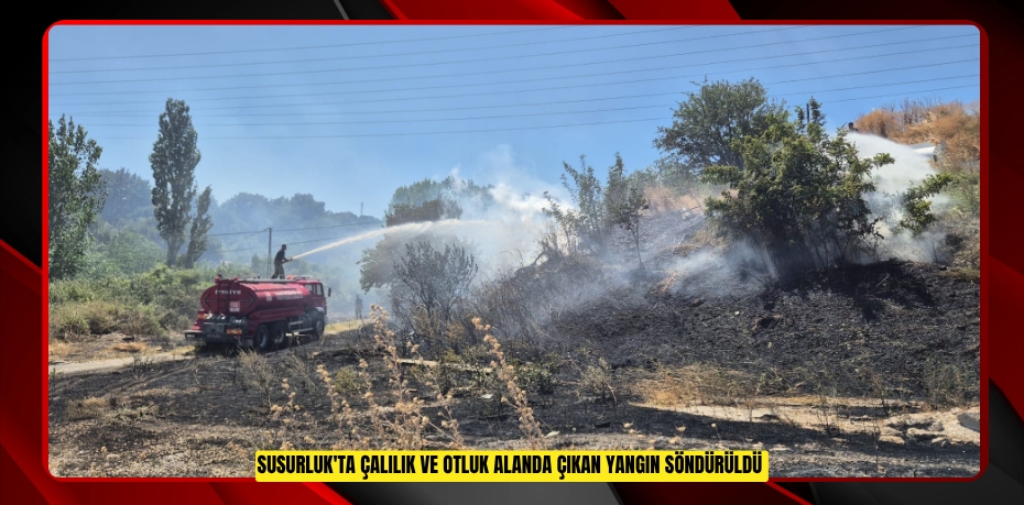 Susurluk'ta çalılık ve otluk alanda çıkan yangın söndürüldü