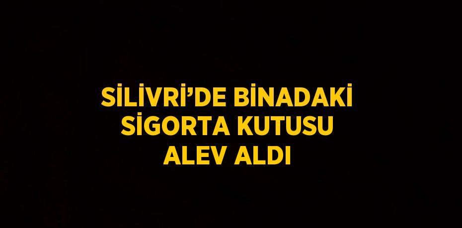 SİLİVRİ’DE BİNADAKİ SİGORTA KUTUSU ALEV ALDI