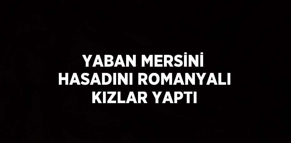 YABAN MERSİNİ HASADINI ROMANYALI KIZLAR YAPTI
