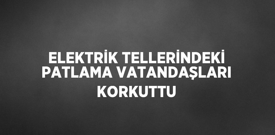 ELEKTRİK TELLERİNDEKİ PATLAMA VATANDAŞLARI KORKUTTU