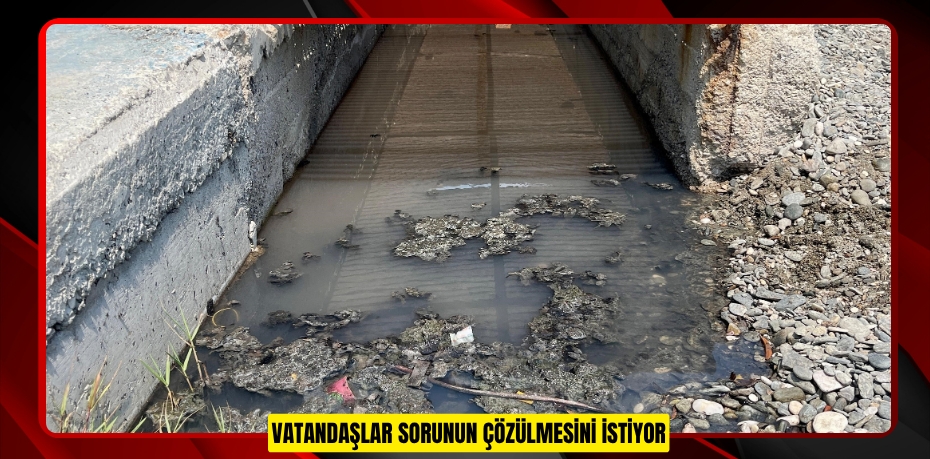 Vatandaşlar sorunun çözülmesini istiyor